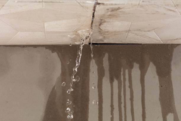 Professional Commercial Water Damage Restoration technician working in Elwood, IL